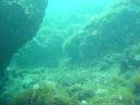 DSC00008.JPG