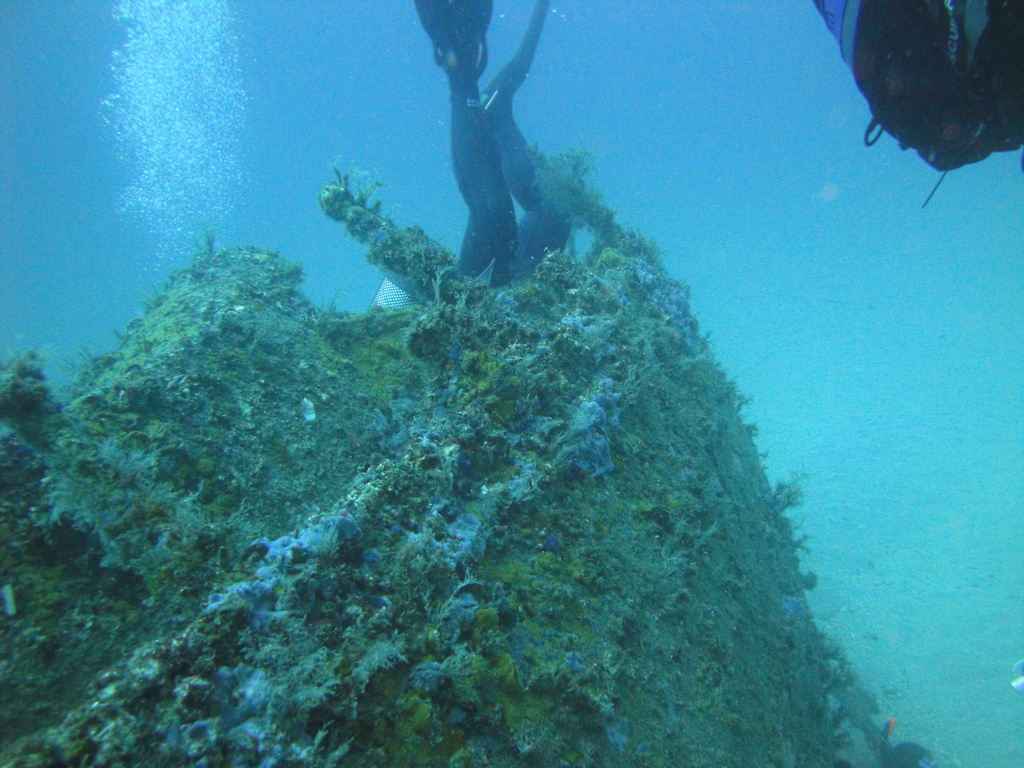 DSC00047.JPG