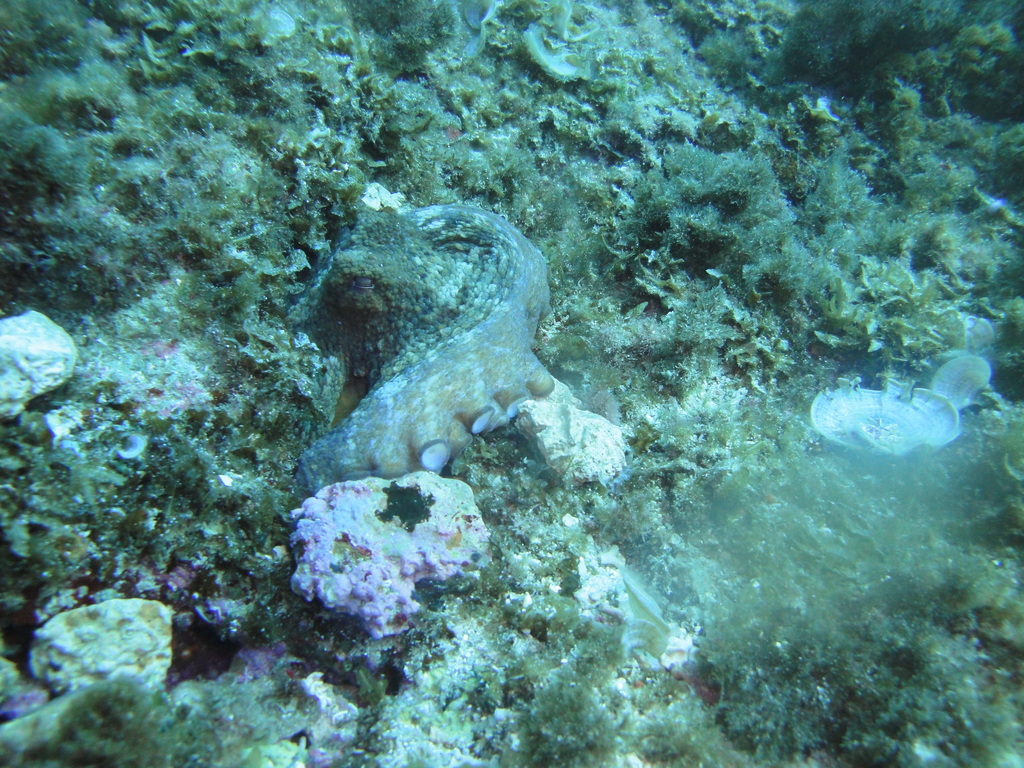 DSC00070.JPG