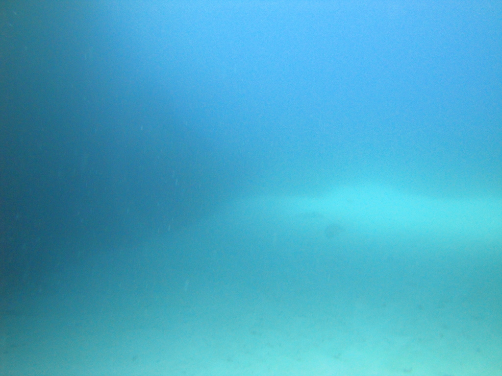 DSC00085.JPG