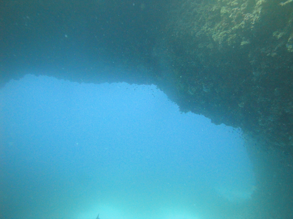 DSC00087.JPG