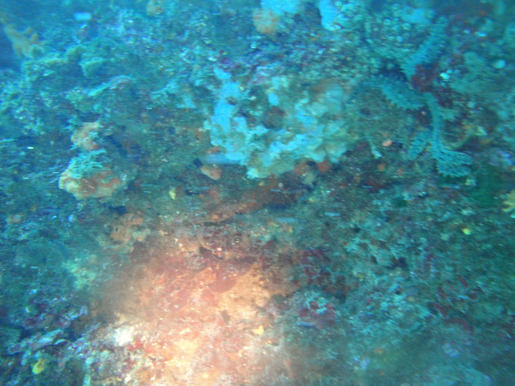 DSC00093.JPG