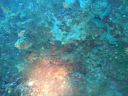DSC00093.JPG