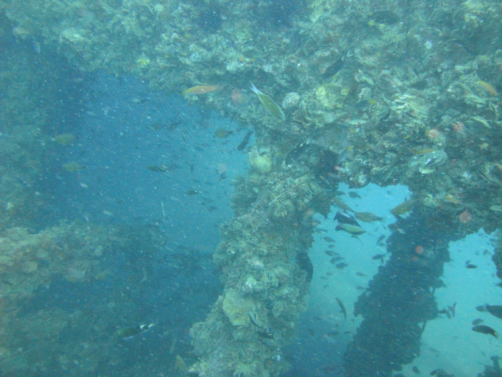 DSC00066.JPG