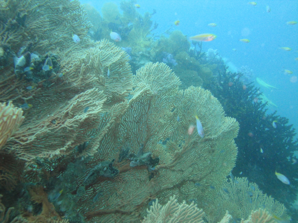 DSC00072.JPG