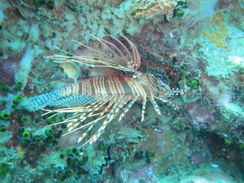 DSC00073.JPG