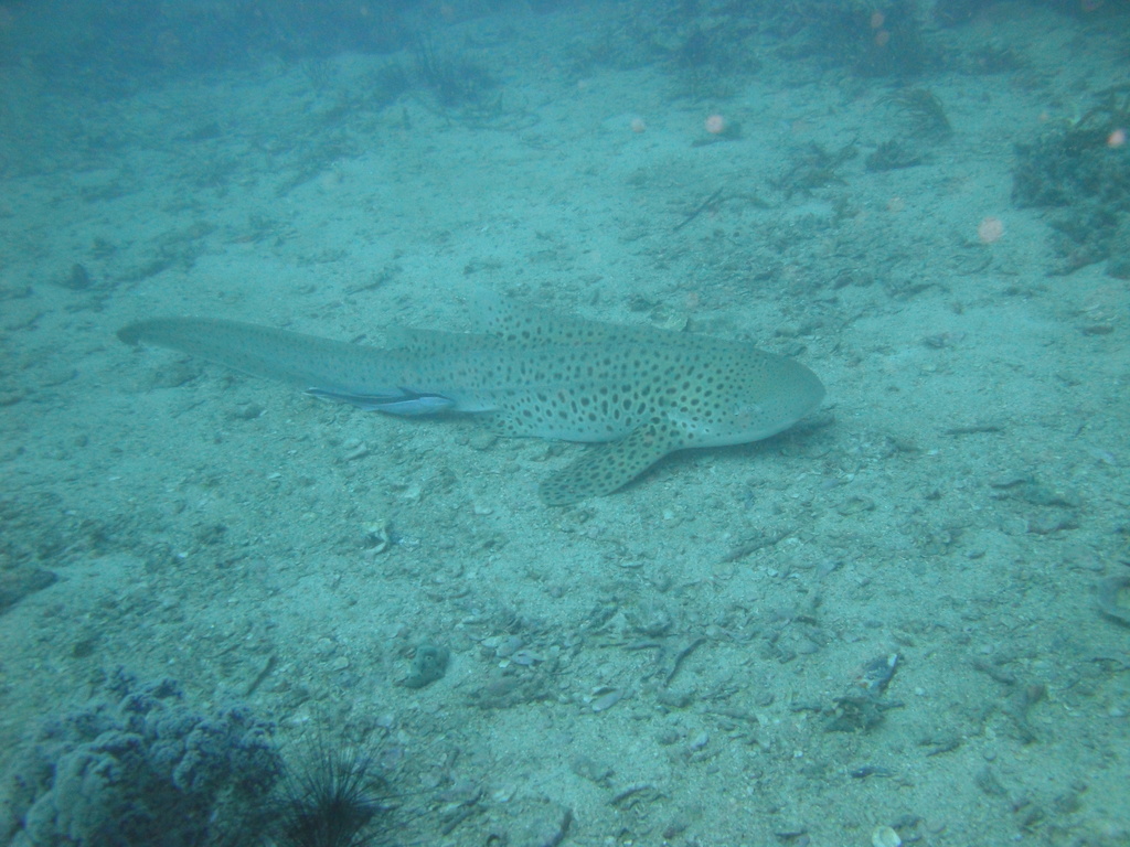 DSC00080.JPG
