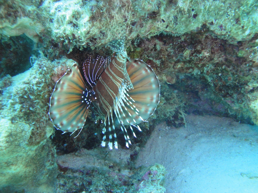 DSC00120.JPG