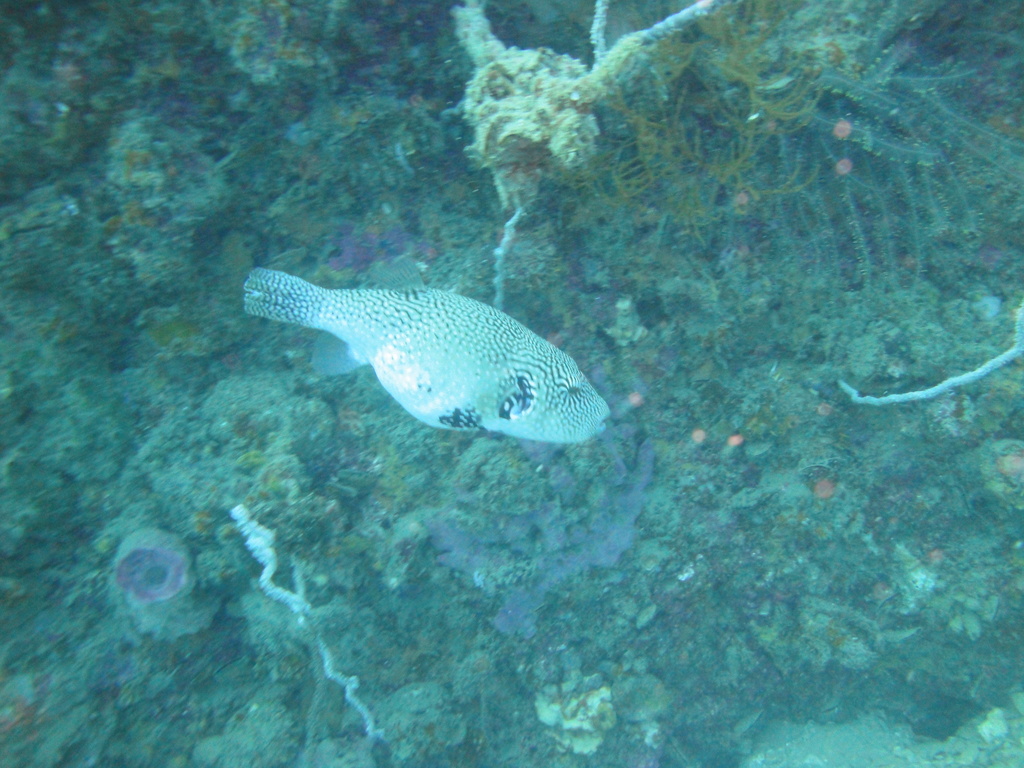DSC00158.JPG