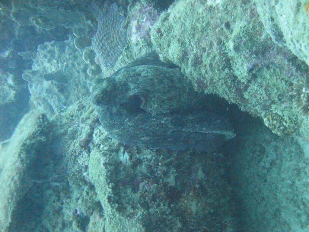 DSC00208.JPG