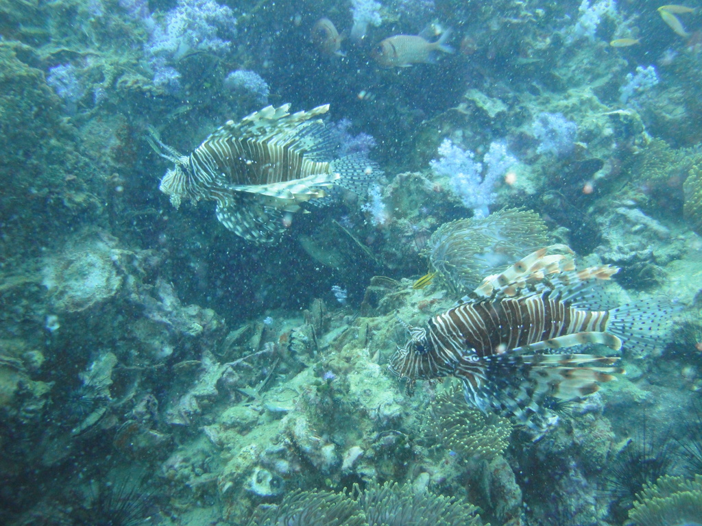 DSC00226.JPG