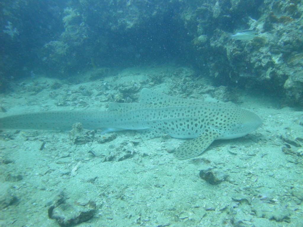 DSC00270.JPG