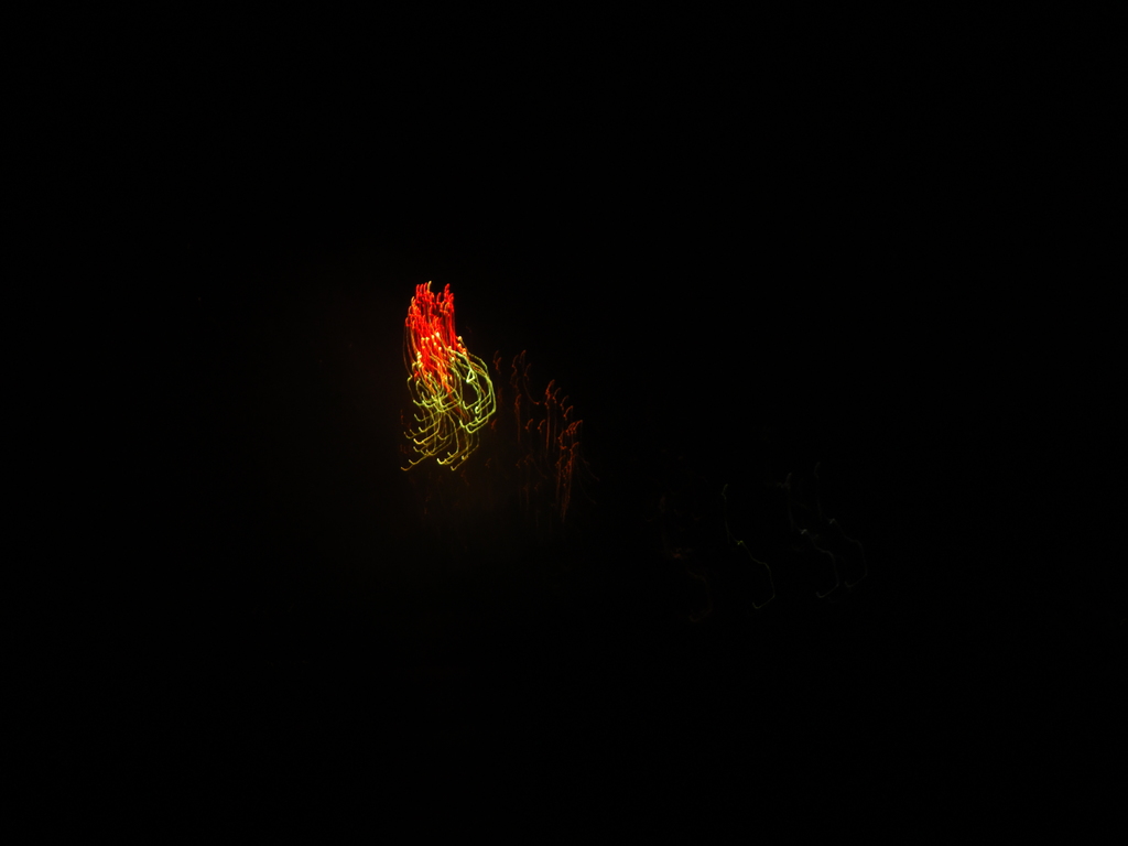 DSC00314.JPG