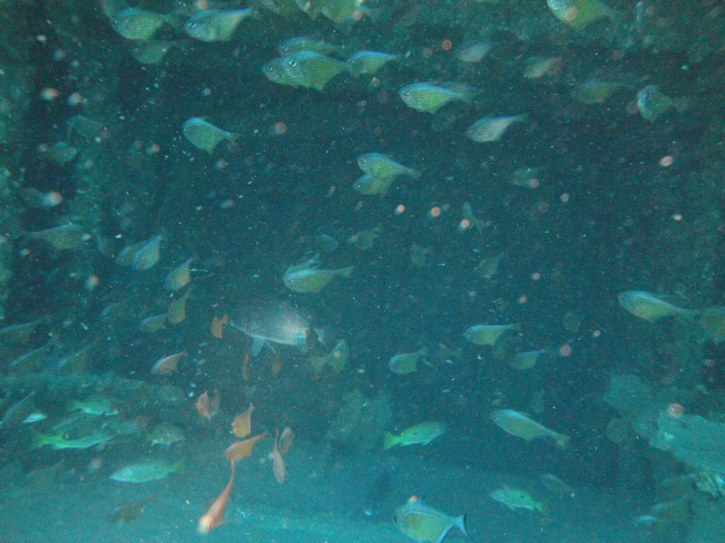 DSC00324.JPG