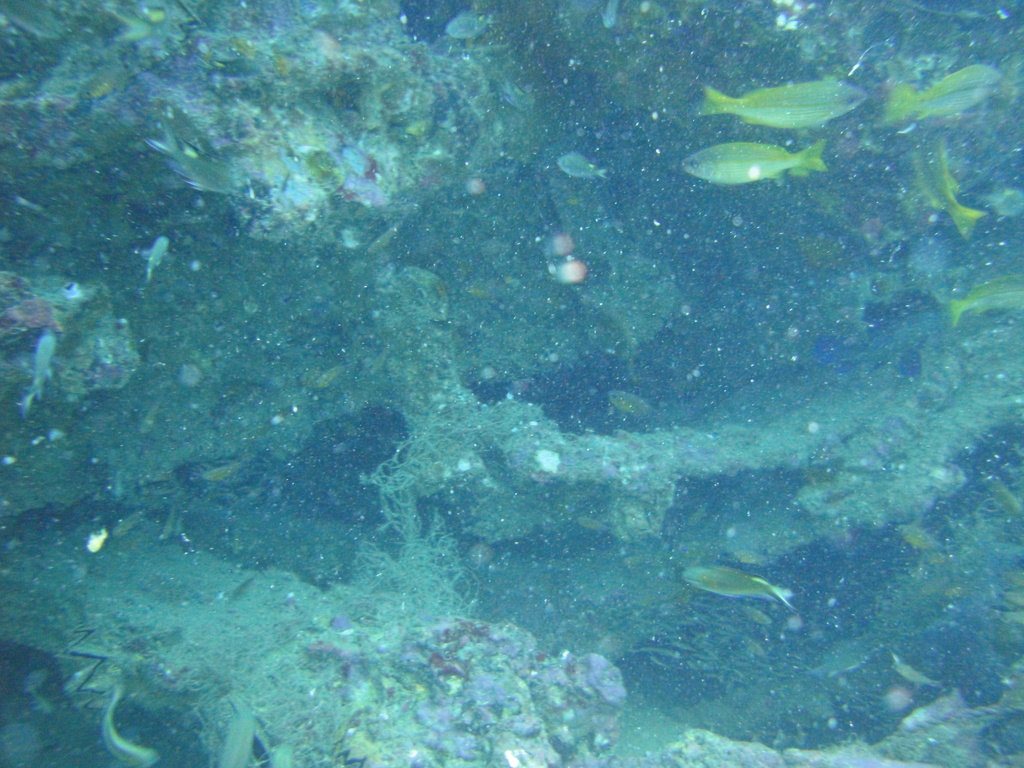 DSC00354.JPG