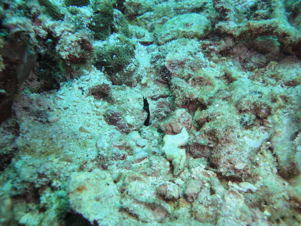 DSC00380.JPG