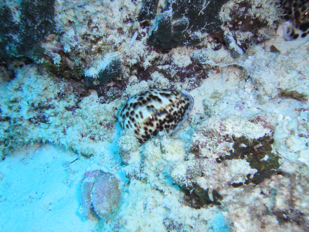 DSC00390.JPG