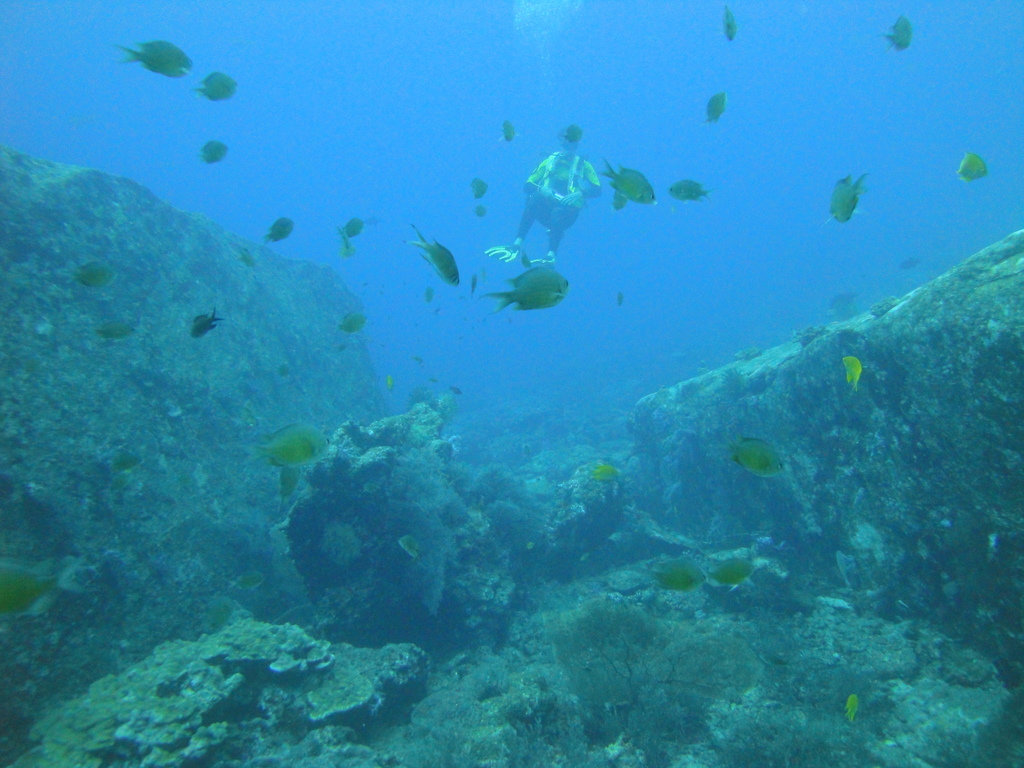 DSC00399.JPG