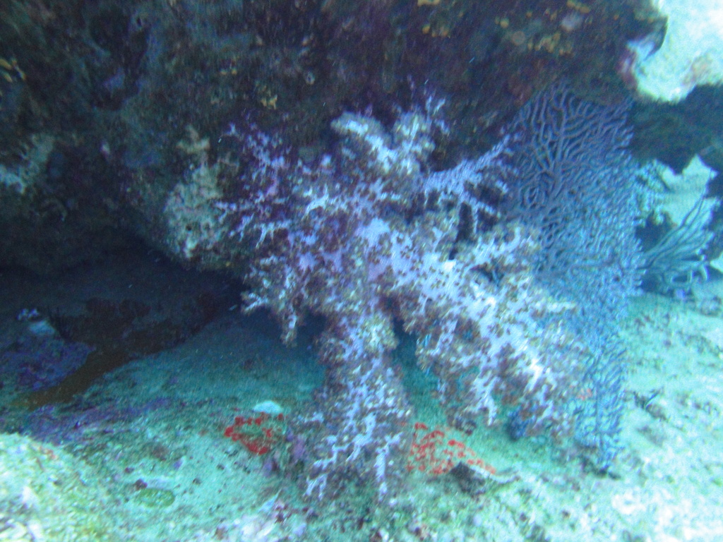 DSC00400.JPG