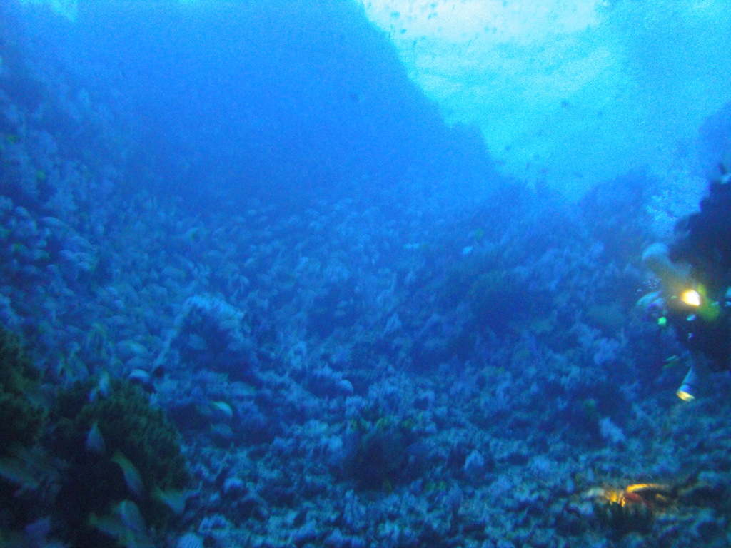 DSC00409.JPG