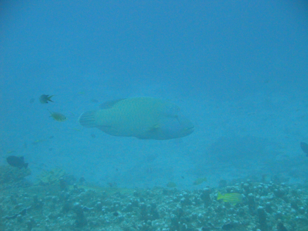 DSC00428.JPG