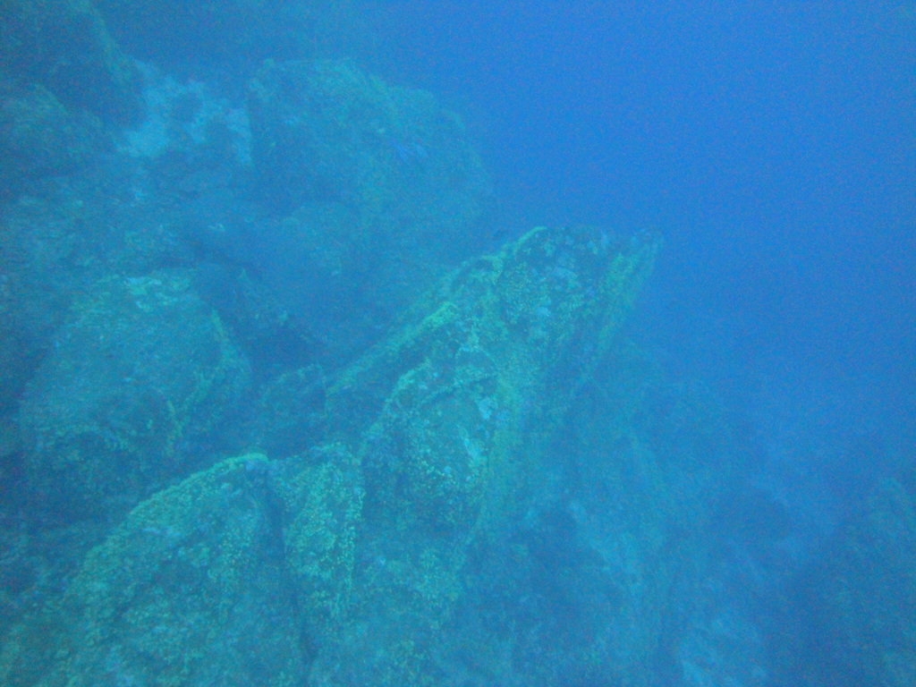 DSC00438.JPG