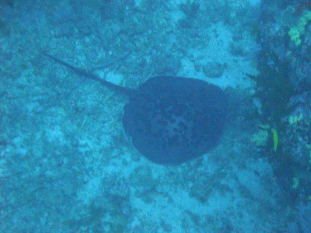 DSC00441.JPG