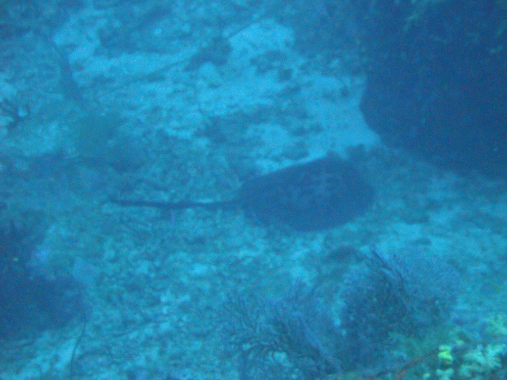 DSC00442.JPG