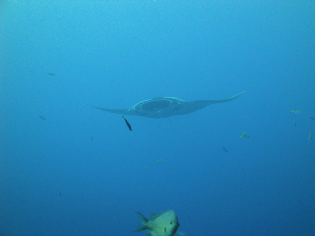 DSC00474.JPG