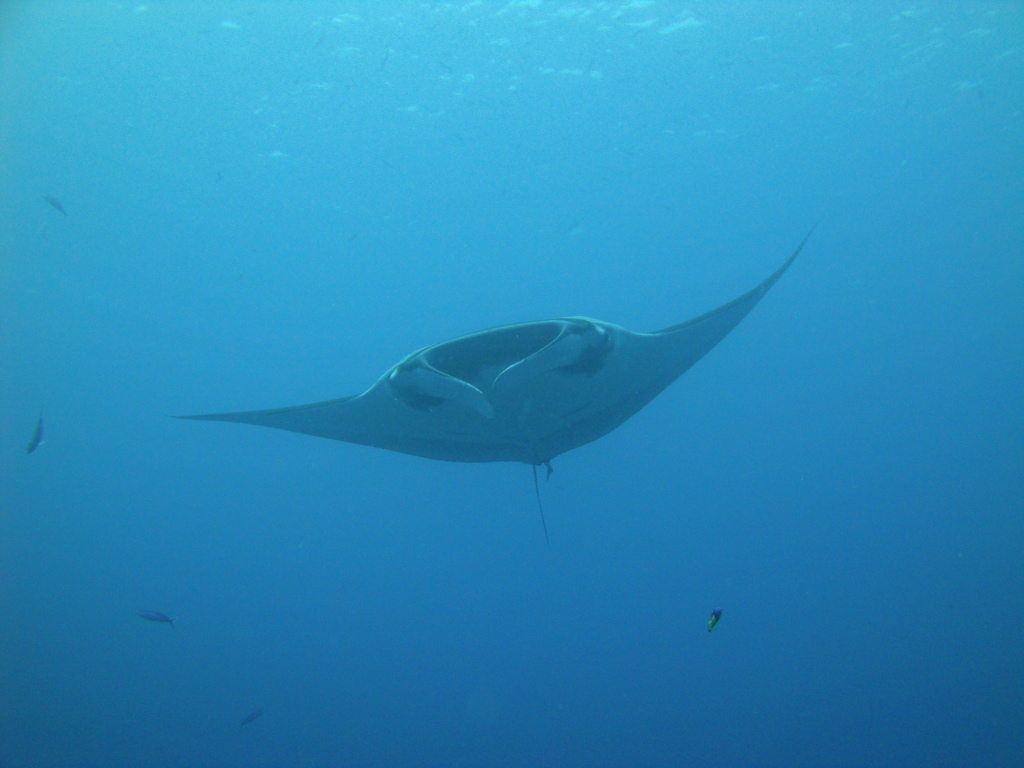 DSC00475.JPG