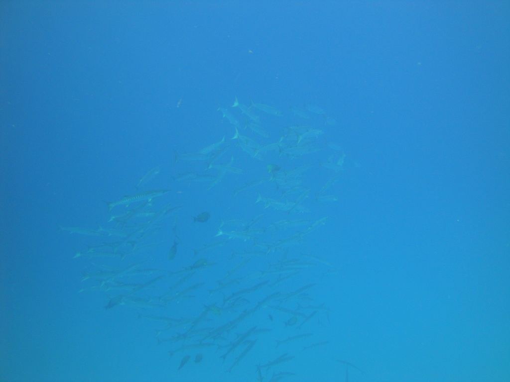 DSC00614.JPG