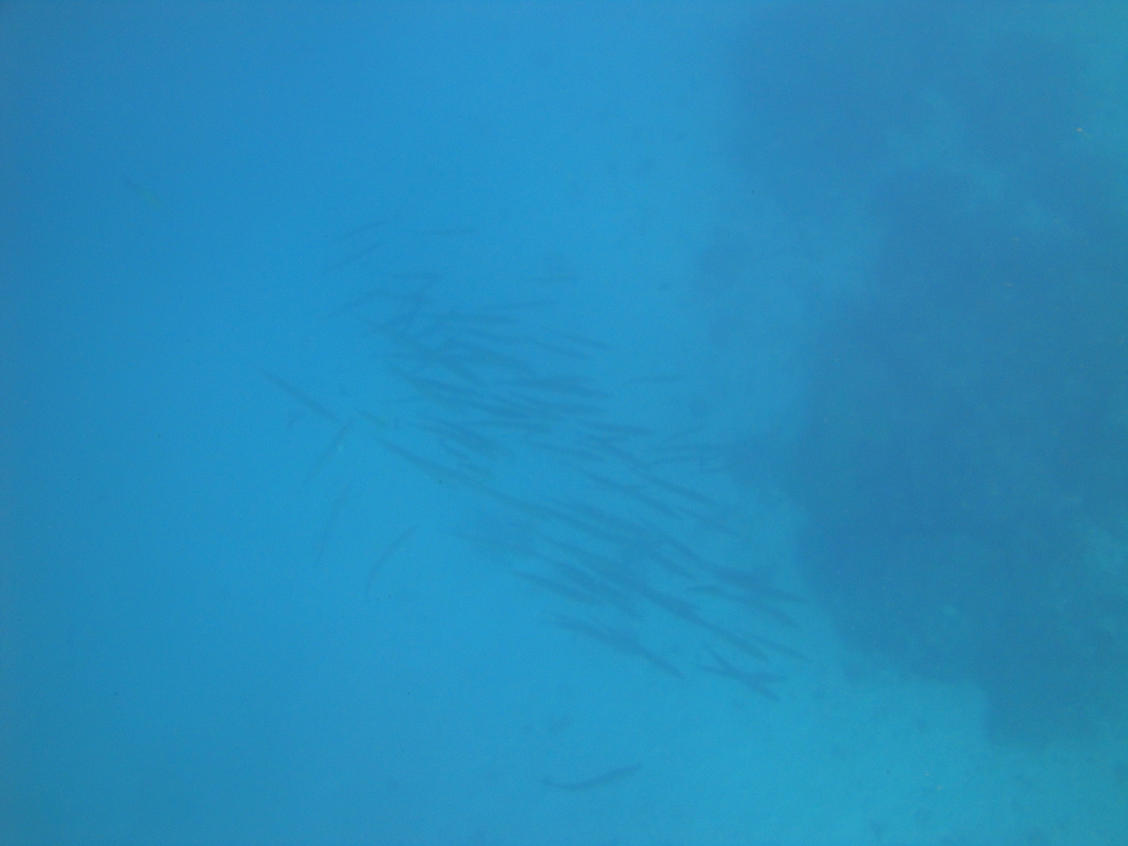 DSC00615.JPG
