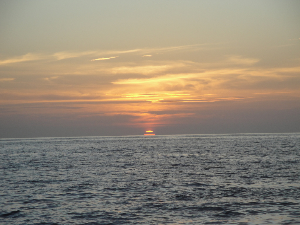 DSC00712.JPG