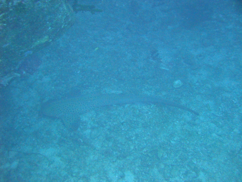 DSC00758.JPG