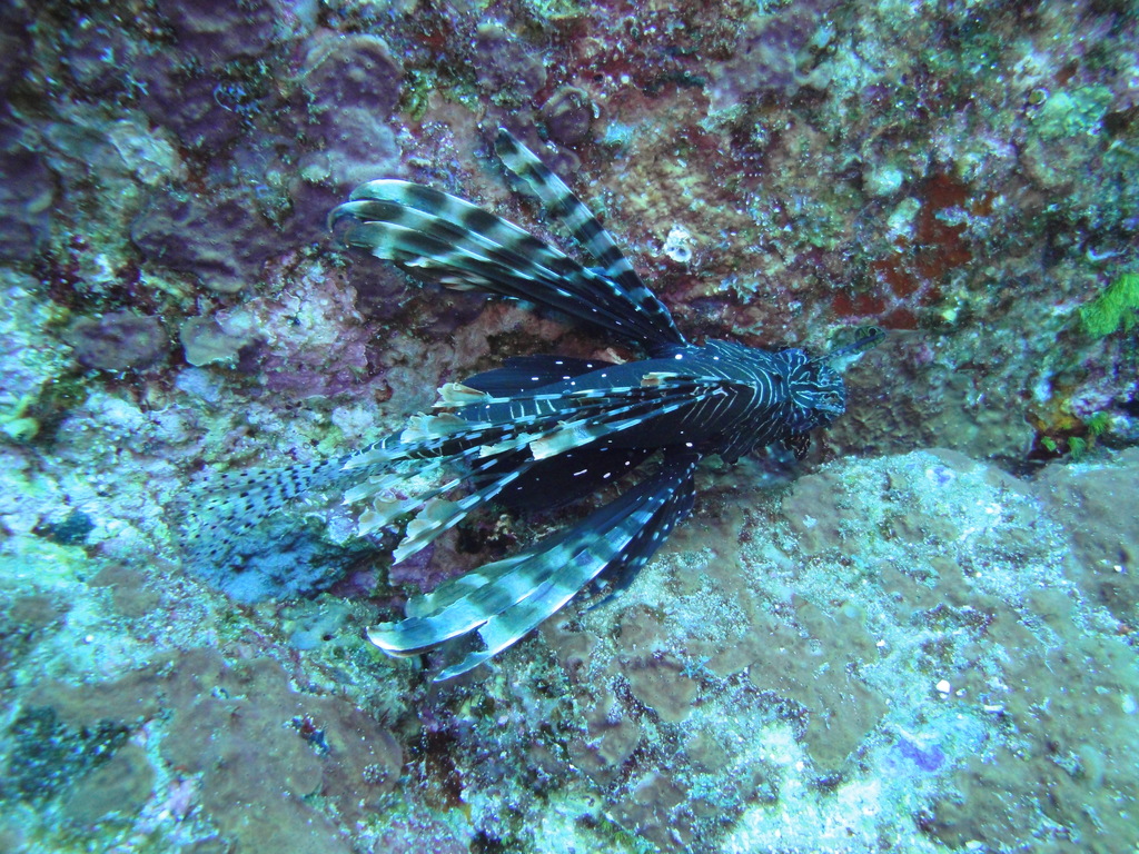 DSC00765.JPG
