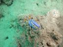 Filename=DSC00032.JPG
Filesize=401KiB
Dimensions=1024x768
Date added=Aug 05, 2014 DSC00032.JPG