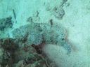 Filename=DSC00038.JPG
Filesize=405KiB
Dimensions=1024x768
Date added=Aug 05, 2014 DSC00038.JPG