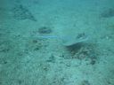 DSC00173.JPG