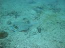 DSC00175.JPG