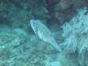 DSC00182.JPG