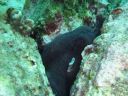 DSC00190.JPG