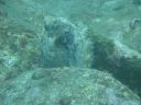 DSC00193.JPG