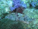DSC00204.JPG