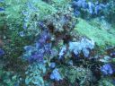 DSC00205.JPG
