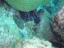 DSC00206.JPG