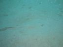 Dateiname=DSC00215.JPG
Dateigröße=285KB
Abmessungen: 1024x768
hinzugefügt am: 05. August 2014 DSC00215.JPG
