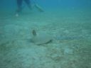 Dateiname=DSC00216.JPG
Dateigröße=299KB
Abmessungen: 1024x768
hinzugefügt am: 05. August 2014 DSC00216.JPG