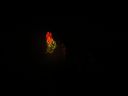 DSC00314.JPG