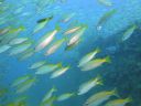 DSC00316.JPG