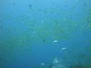 DSC00322.JPG